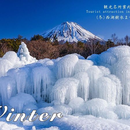 Station Villa Plaisir Mt. Fuji Fujikawaguchiko Esterno foto