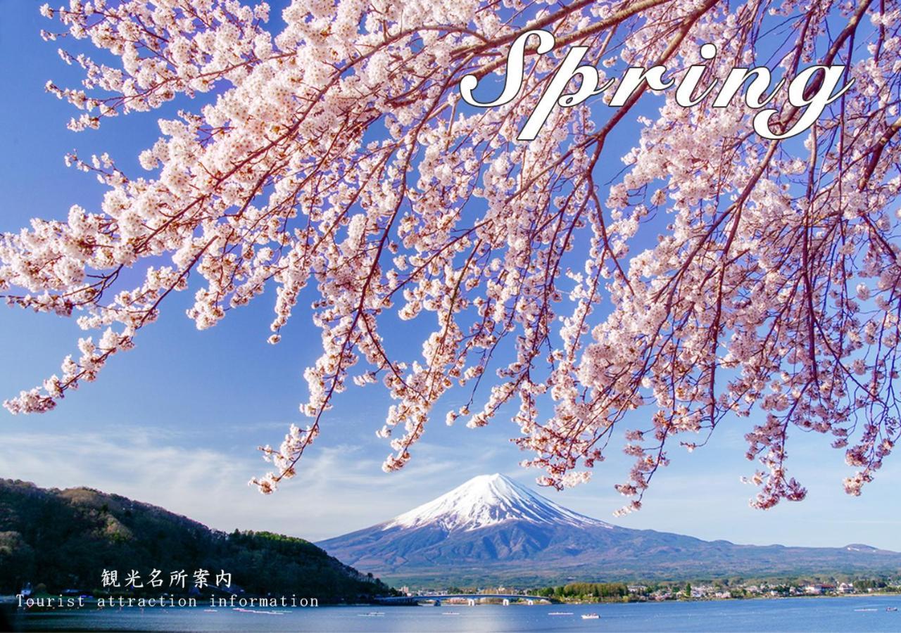 Station Villa Plaisir Mt. Fuji Fujikawaguchiko Esterno foto